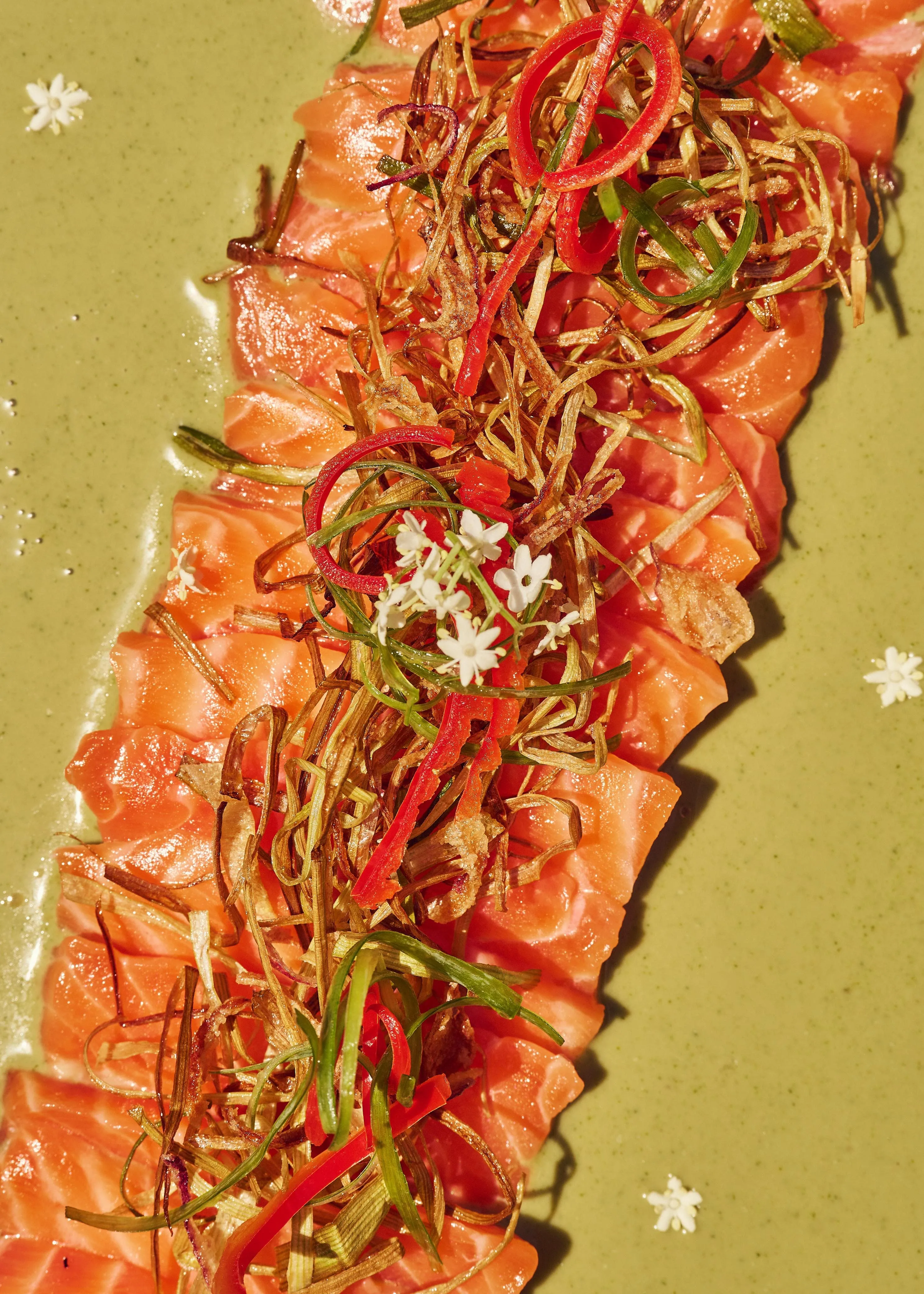Salmon crudo closeup with chilli and scallion